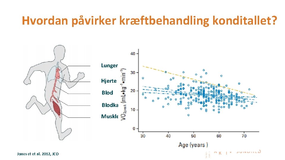 Hvordan påvirker kræftbehandling konditallet? Lunger ↓ Hjerte ↓ Blodkar↓ Muskler↓ Jones et et al.