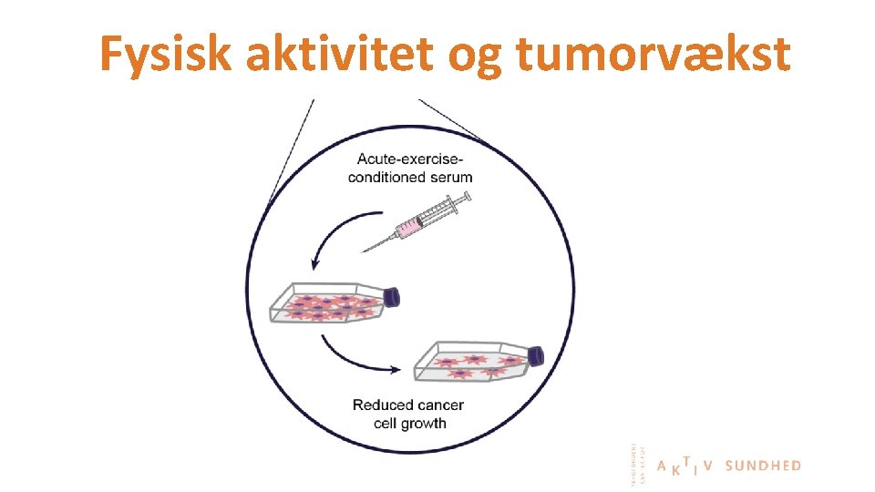 Fysisk aktivitet og tumorvækst 