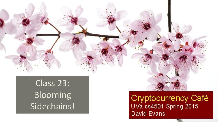 Class 23: Blooming Sidechains! Cryptocurrency Café UVa cs 4501 Spring 2015 David Evans 