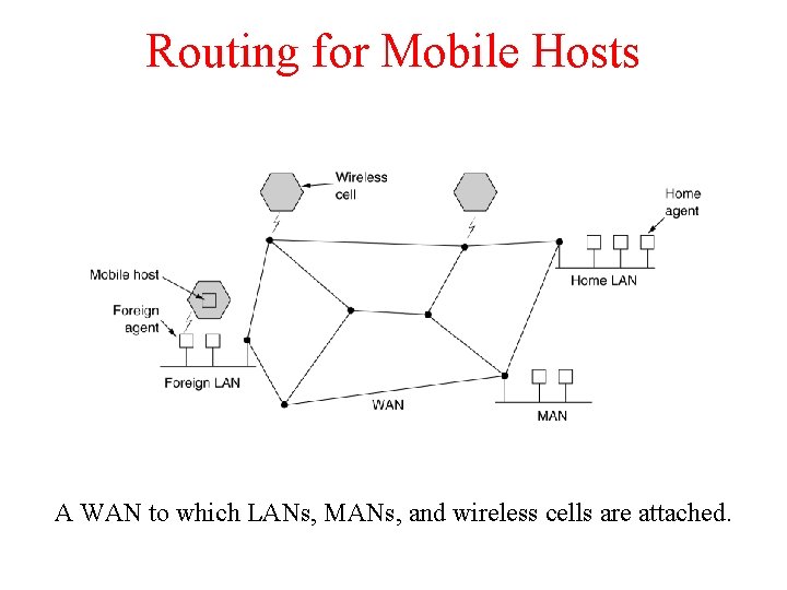 Routing for Mobile Hosts A WAN to which LANs, MANs, and wireless cells are