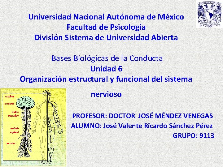 Universidad Nacional Autónoma de México Facultad de Psicología División Sistema de Universidad Abierta Bases