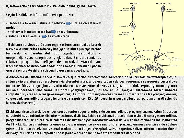 B) Informaciones sensoriales: Vista, oído, olfato, gusto y tacto. Según la salida de información,