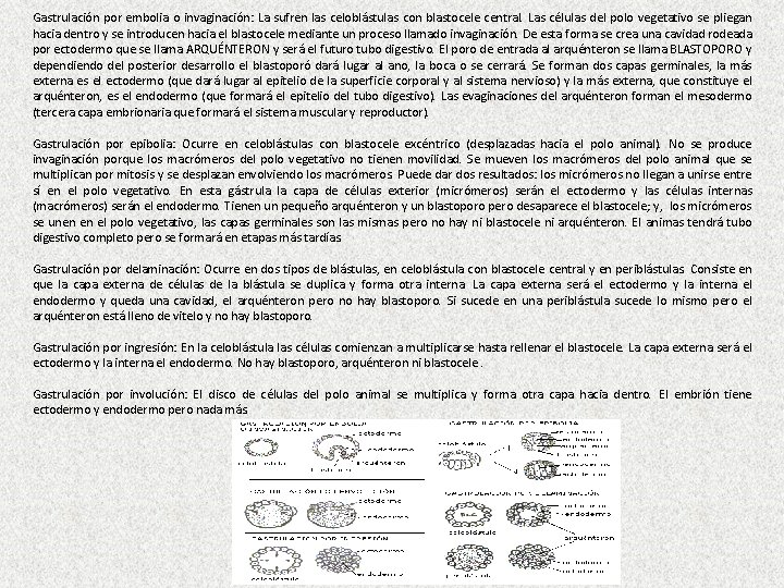 Gastrulación por embolia o invaginación: La sufren las celoblástulas con blastocele central. Las células