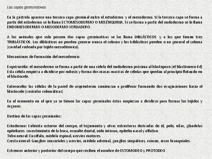 Las capas germinativas En la gástrula aparece una tercera capa germinal entre el ectodermo