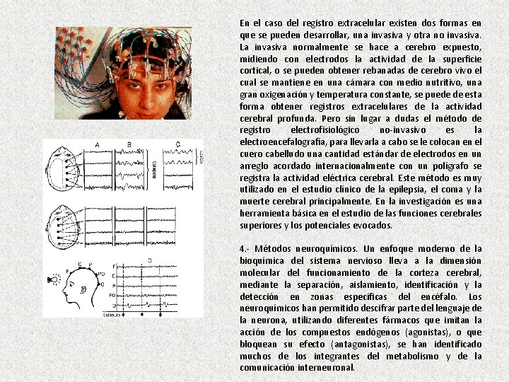 En el caso del registro extracelular existen dos formas en que se pueden desarrollar,