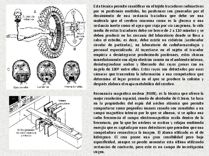 Esta técnica permite cuantificar en el tejido trazadores radioactivos por su positrones emitidos, los