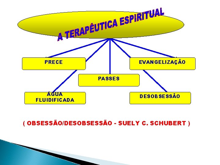 PRECE EVANGELIZAÇÃO PASSES ÁGUA FLUIDIFICADA DESOBSESSÃO ( OBSESSÃO/DESOBSESSÃO - SUELY C. SCHUBERT ) 
