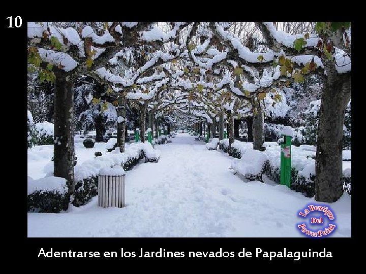 10 Adentrarse en los Jardines nevados de Papalaguinda 