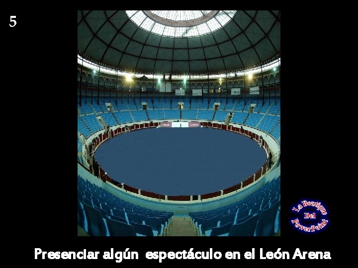 5 Presenciar algún espectáculo en el León Arena 