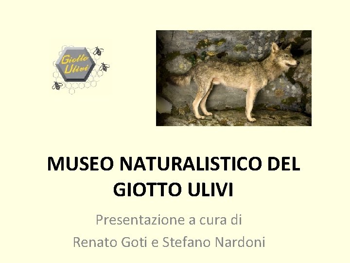 MUSEO NATURALISTICO DEL GIOTTO ULIVI Presentazione a cura di Renato Goti e Stefano Nardoni