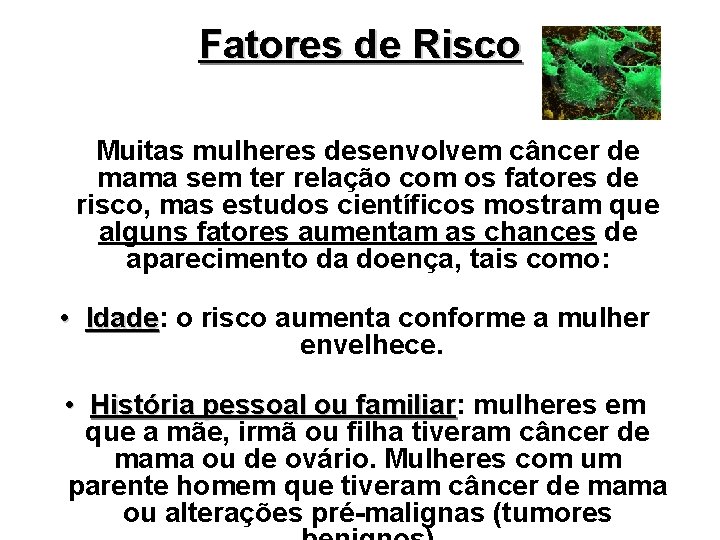Fatores de Risco Muitas mulheres desenvolvem câncer de mama sem ter relação com os Fatores de Risco Muitas mulheres desenvolvem câncer de mama sem ter relação com os