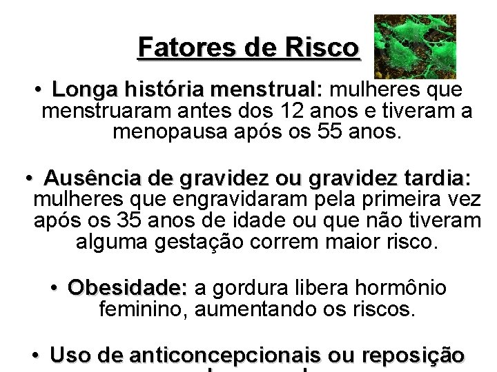 Fatores de Risco • Longa história menstrual: menstrual mulheres que menstruaram antes dos 12 Fatores de Risco • Longa história menstrual: menstrual mulheres que menstruaram antes dos 12
