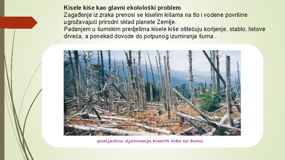 Kisele kiše kao glavni ekolološki problem Zagađenje iz zraka prenosi se kiselim kišama na