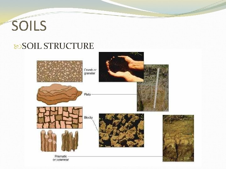 SOILS SOIL STRUCTURE 