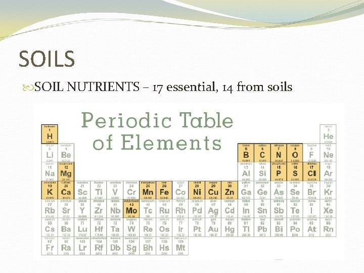 SOILS SOIL NUTRIENTS – 17 essential, 14 from soils 