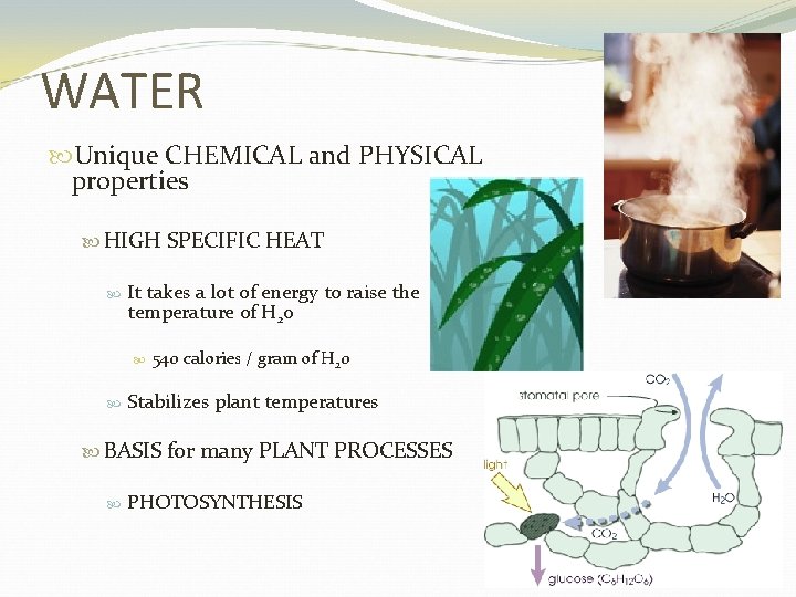 WATER Unique CHEMICAL and PHYSICAL properties HIGH SPECIFIC HEAT It takes a lot of