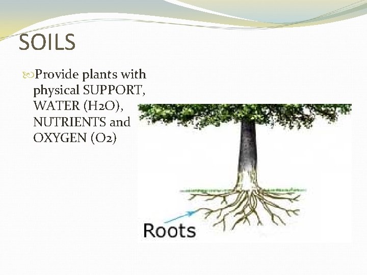 SOILS Provide plants with physical SUPPORT, WATER (H 2 O), NUTRIENTS and OXYGEN (O