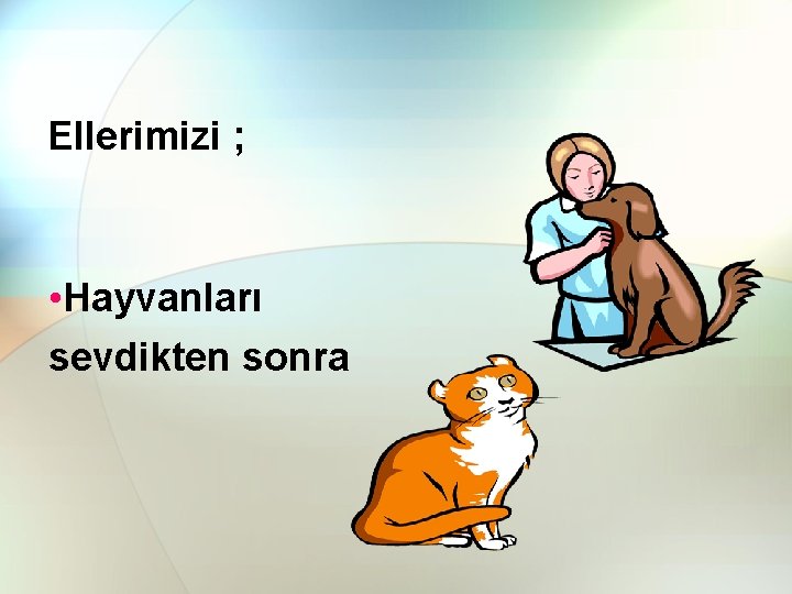 Ellerimizi ; • Hayvanları sevdikten sonra 