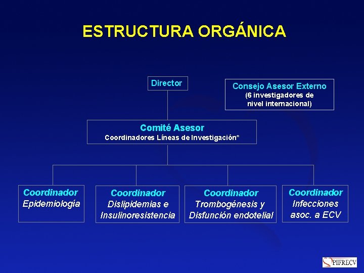 ESTRUCTURA ORGÁNICA Director Consejo Asesor Externo (6 investigadores de nivel internacional) Comité Asesor Coordinadores ESTRUCTURA ORGÁNICA Director Consejo Asesor Externo (6 investigadores de nivel internacional) Comité Asesor Coordinadores