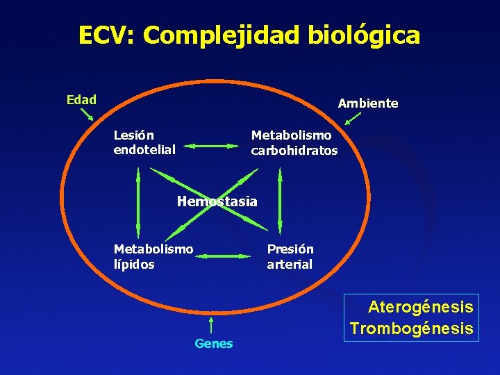 ECV: Complejidad biológica Edad Ambiente Lesión endotelial Metabolismo carbohidratos Hemostasia Metabolismo lípidos Presión arterial ECV: Complejidad biológica Edad Ambiente Lesión endotelial Metabolismo carbohidratos Hemostasia Metabolismo lípidos Presión arterial