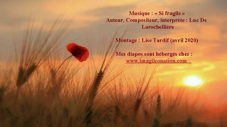 Musique : « Si fragile » Auteur, Compositeur, interprète : Luc De Larochellière Montage