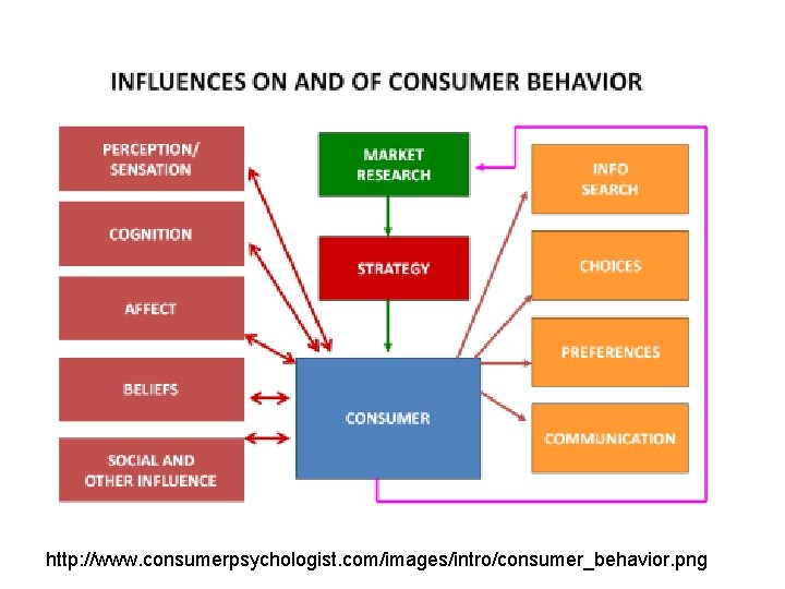 http: //www. consumerpsychologist. com/images/intro/consumer_behavior. png http: //www. consumerpsychologist. com/images/intro/consumer_behavior. png