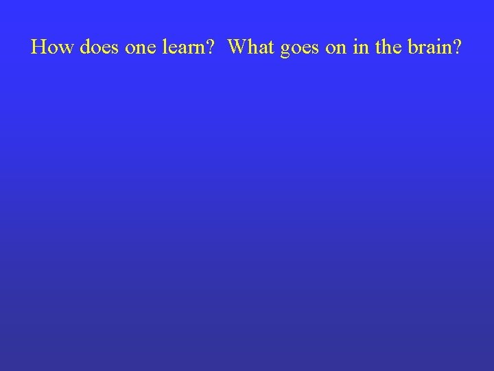 How does one learn? What goes on in the brain? 
