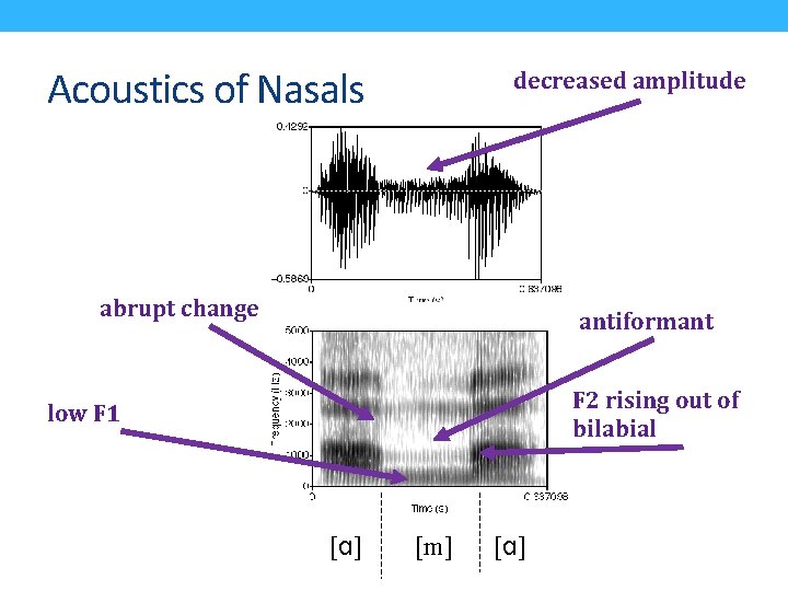 Acoustics of Nasals decreased amplitude abrupt change antiformant F 2 rising out of bilabial