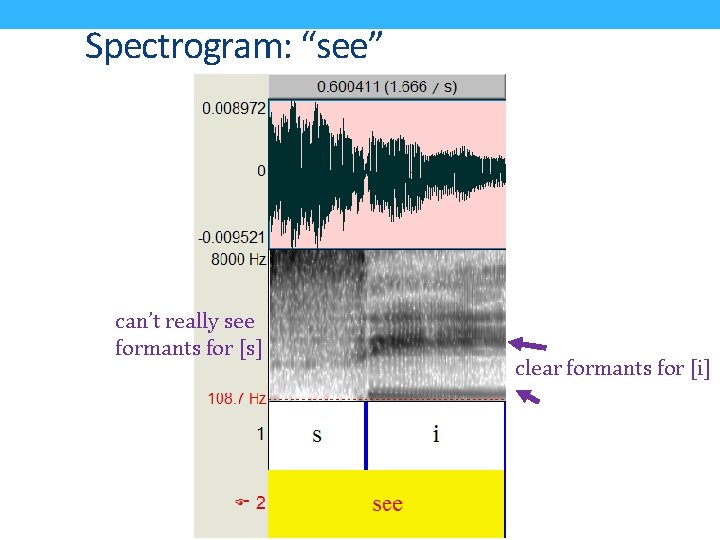 Spectrogram: “see” can’t really see formants for [s] clear formants for [i] 