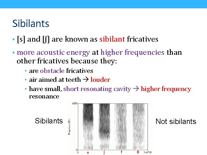 Sibilants • [s] and [ʃ] are known as sibilant fricatives • more acoustic energy