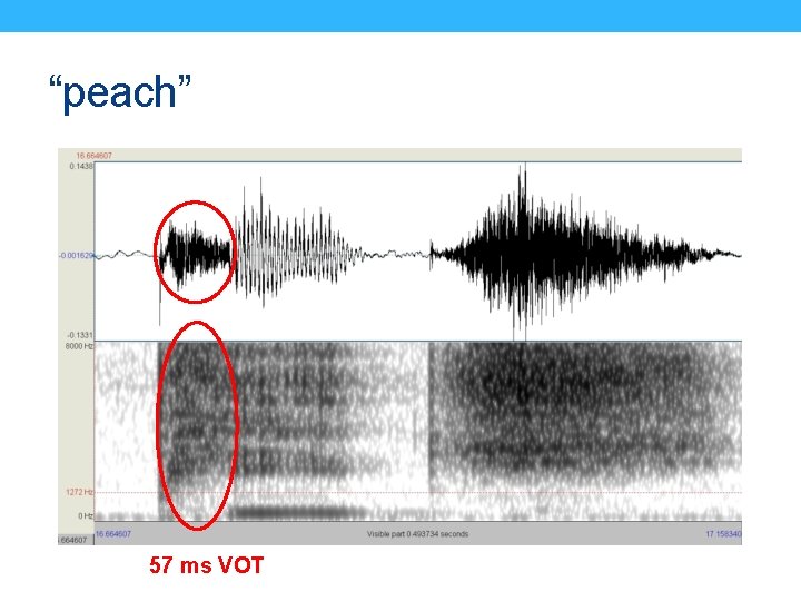 “peach” 57 ms VOT 