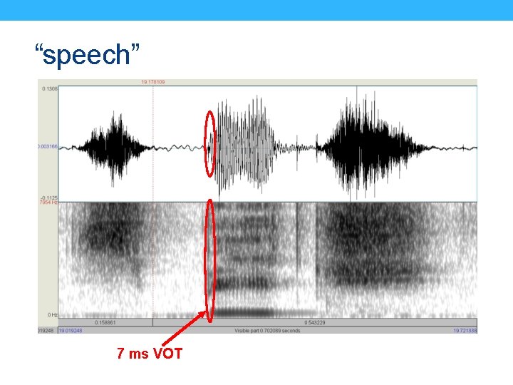“speech” 7 ms VOT 