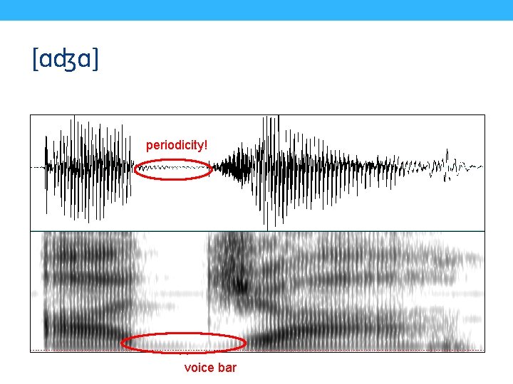 [ɑʤɑ] periodicity! voice bar 