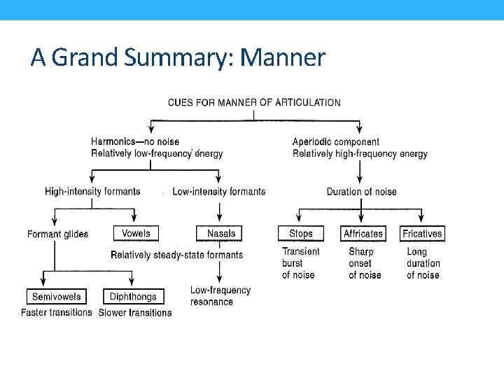 A Grand Summary: Manner 