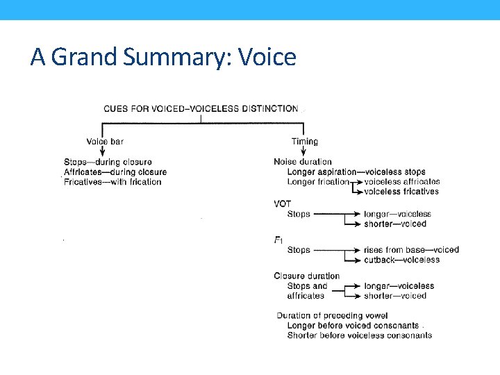 A Grand Summary: Voice 