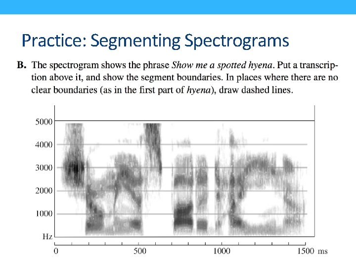 Practice: Segmenting Spectrograms 