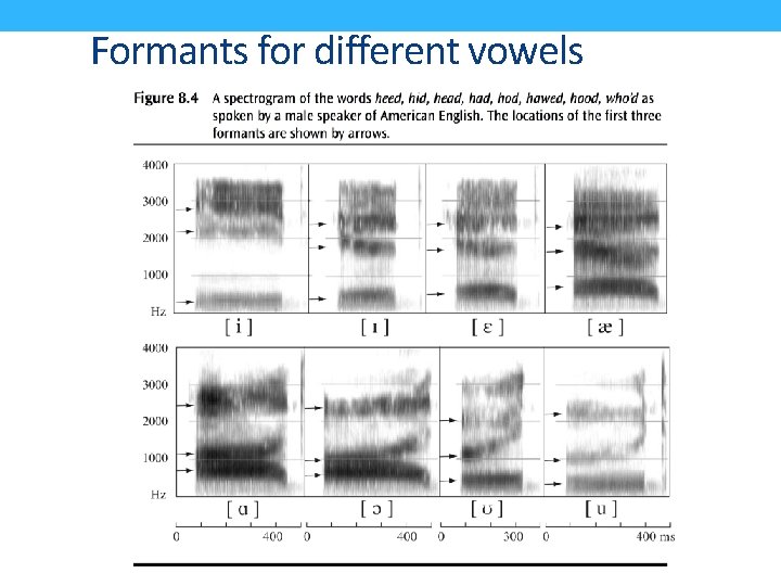 Formants for different vowels 