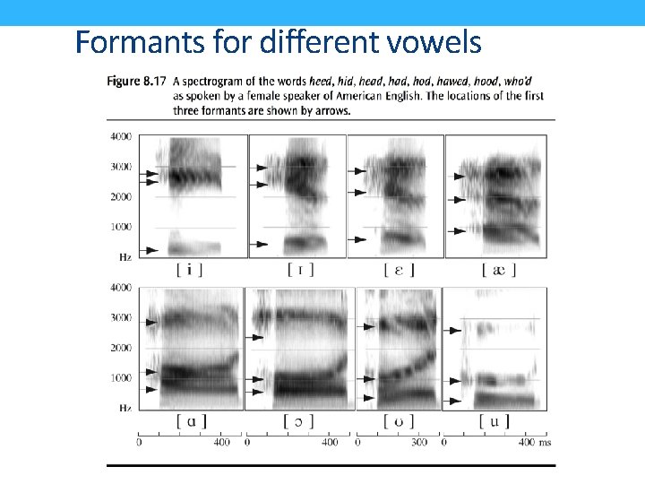 Formants for different vowels 