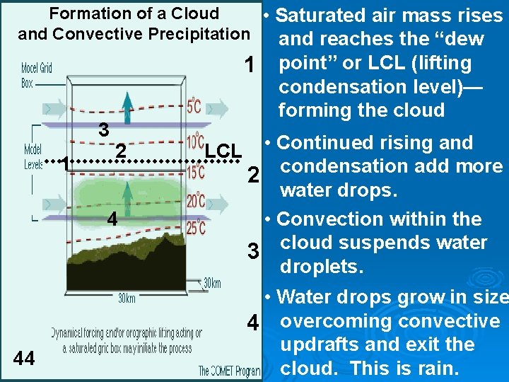 Formation of a Cloud • Saturated air mass rises and Convective Precipitation and reaches