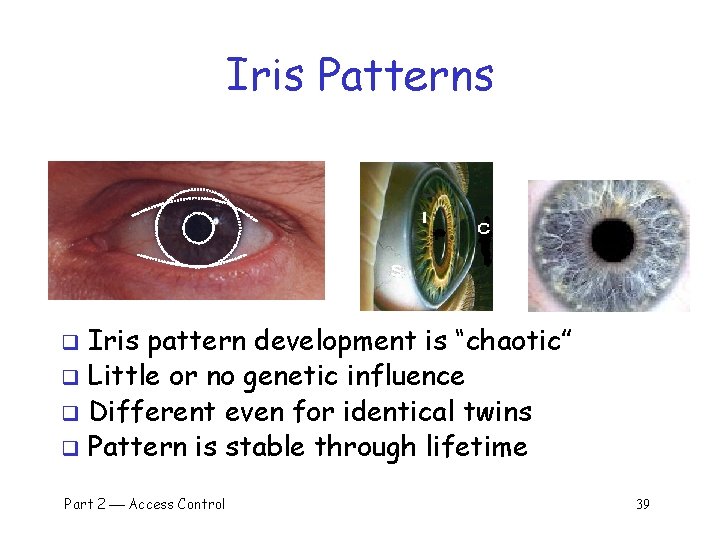 Iris Patterns Iris pattern development is “chaotic” q Little or no genetic influence q