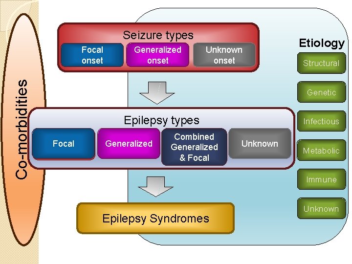 Seizure types Co-morbidities Focal onset Generalized onset Unknown onset Etiology Structural Genetic Epilepsy types