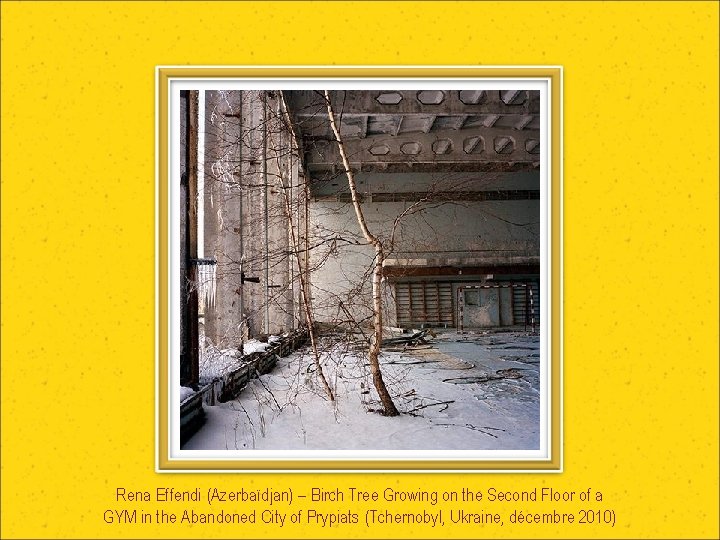 Rena Effendi (Azerbaïdjan) – Birch Tree Growing on the Second Floor of a GYM