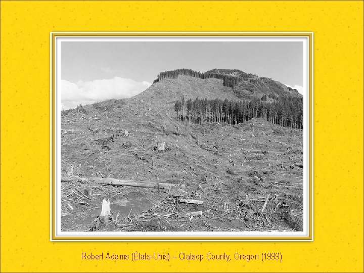 Robert Adams (États-Unis) – Clatsop County, Oregon (1999) 