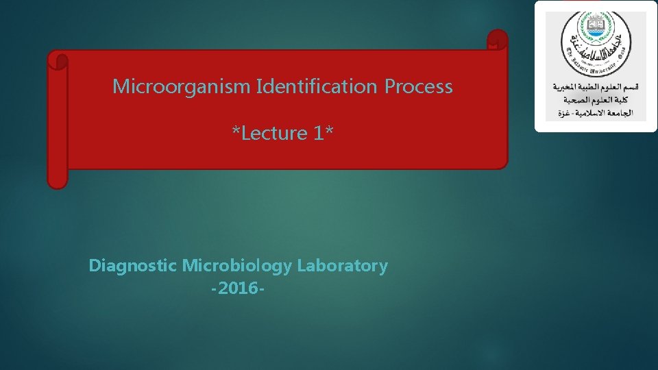 Microorganism Identification Process *Lecture 1* Diagnostic Microbiology Laboratory -2016 - 