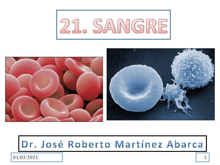 21. SANGRE 01/03/2021 1 