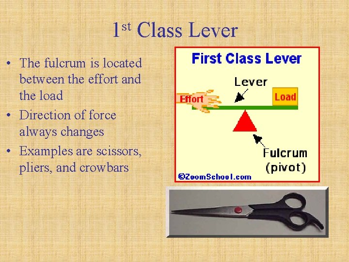 st 1 Class Lever • The fulcrum is located between the effort and the