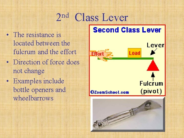 2 nd Class Lever • The resistance is located between the fulcrum and the