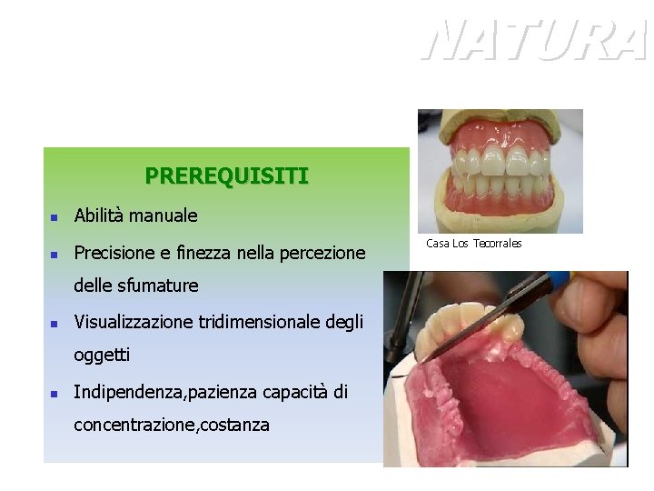 NATURA PREREQUISITI n Abilità manuale n Precisione e finezza nella percezione delle sfumature n