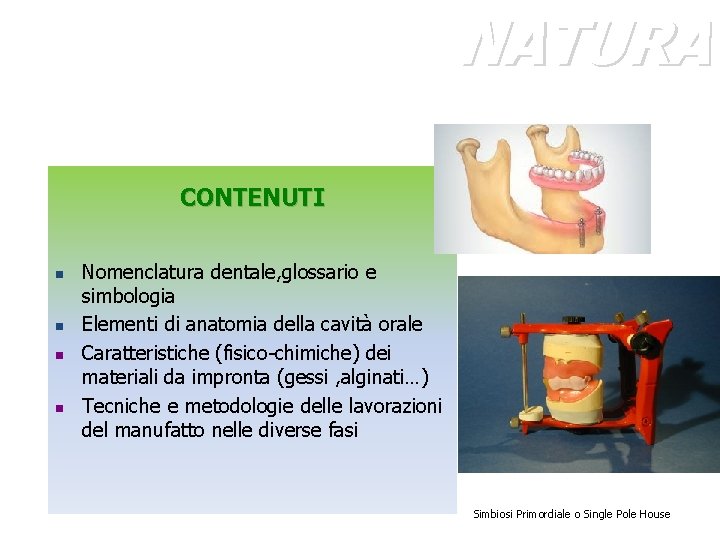 NATURA CONTENUTI n n Nomenclatura dentale, glossario e simbologia Elementi di anatomia della cavità