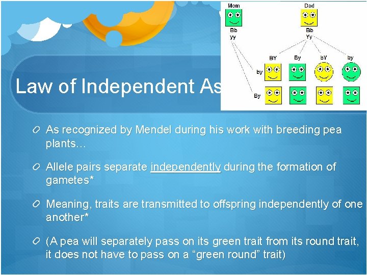 Law of Independent Assortment* As recognized by Mendel during his work with breeding pea